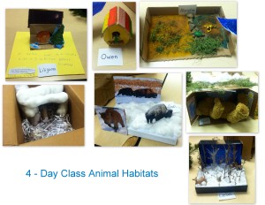 animal habitats1